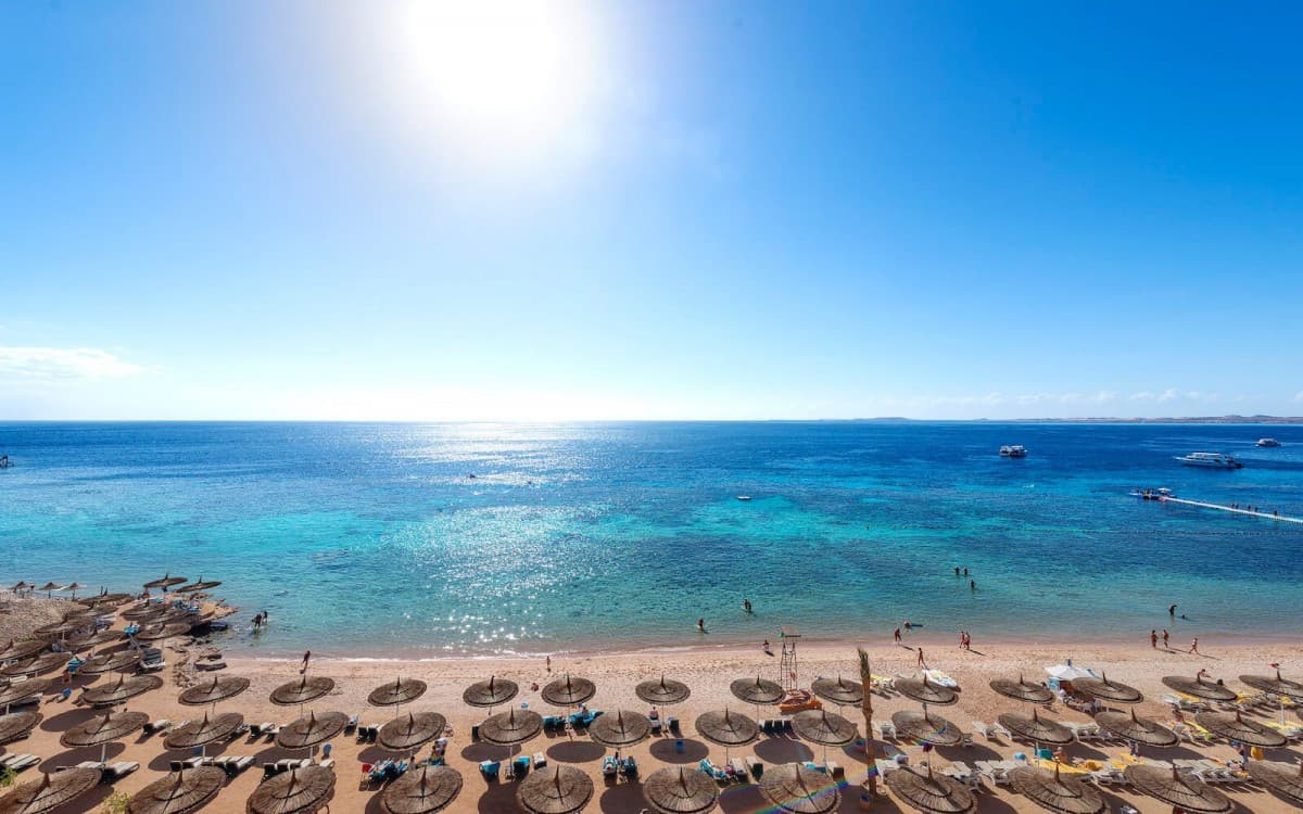 REEF OASIS BEACH RESORT — фото 4
