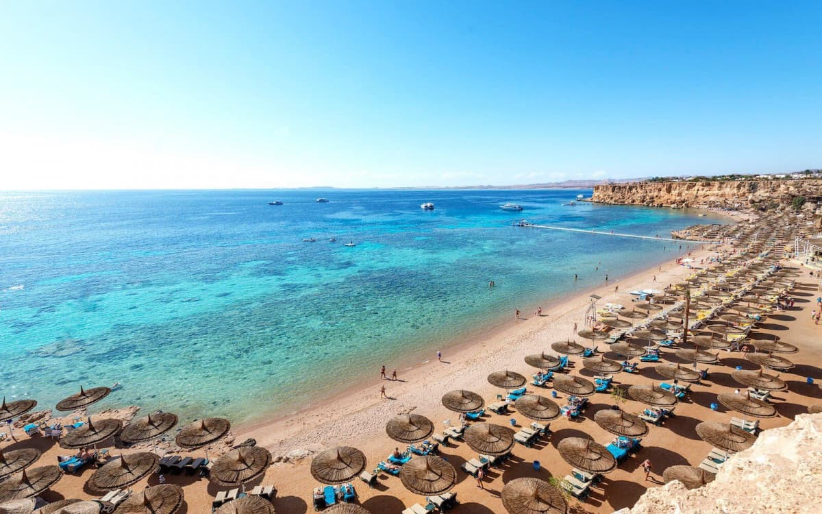 REEF OASIS BEACH RESORT — фото 5