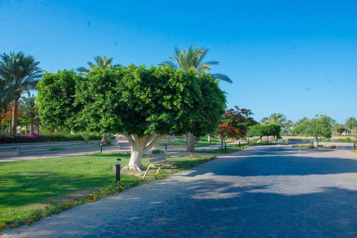 PHARAOH AZUR RESORT (EX. SONESTA PHARAOH) — фото 5