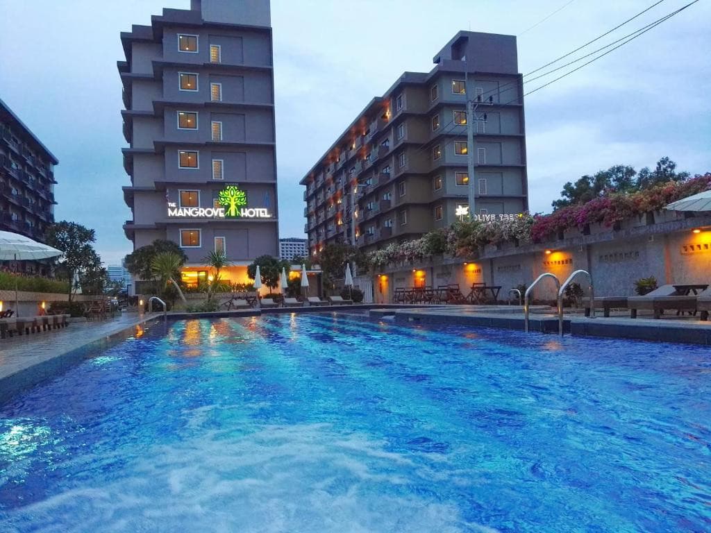 THE MANGROVE — фото 4