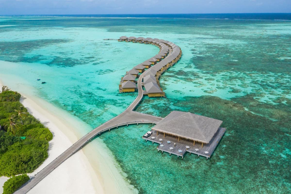 COCOON MALDIVES — фото 2