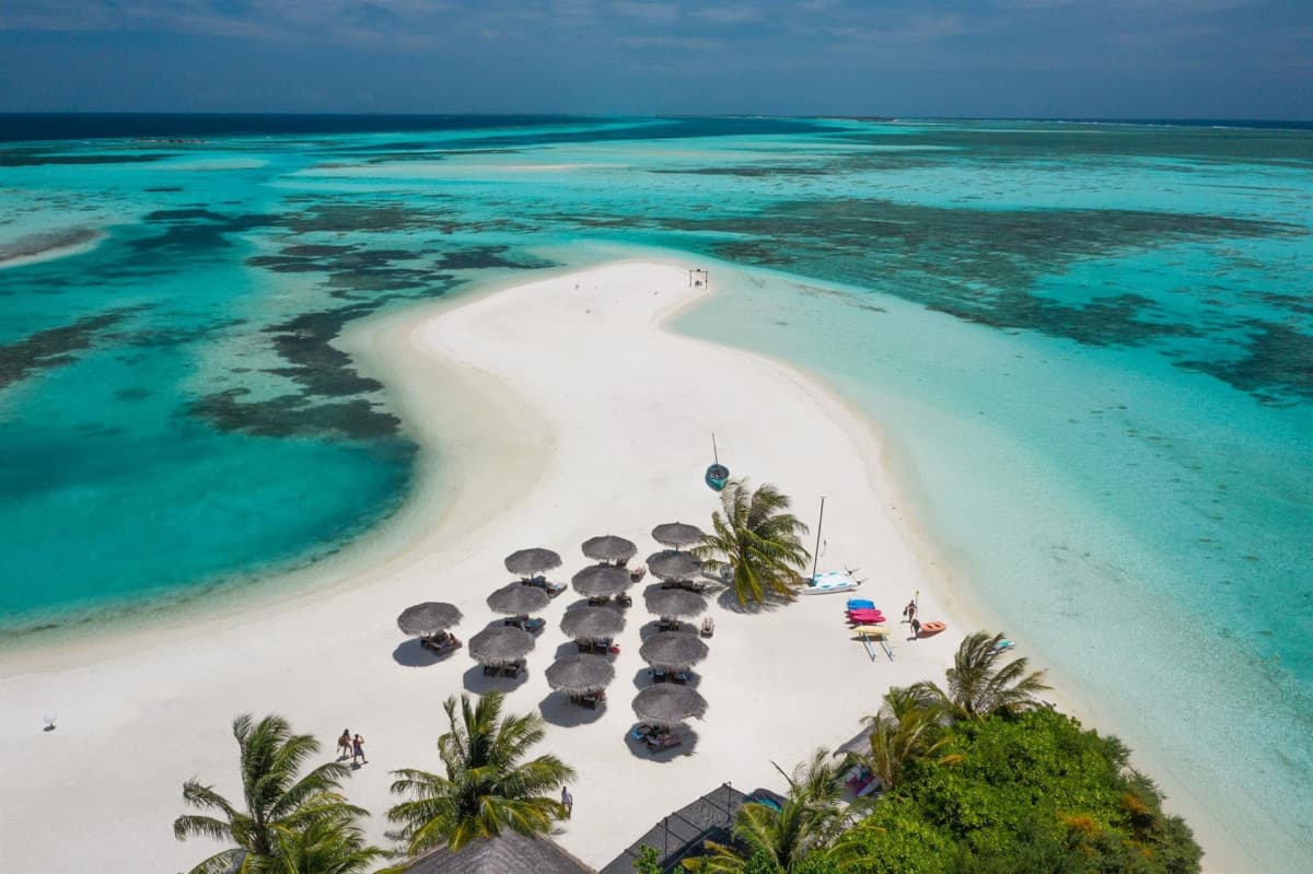 COCOON MALDIVES — фото 3