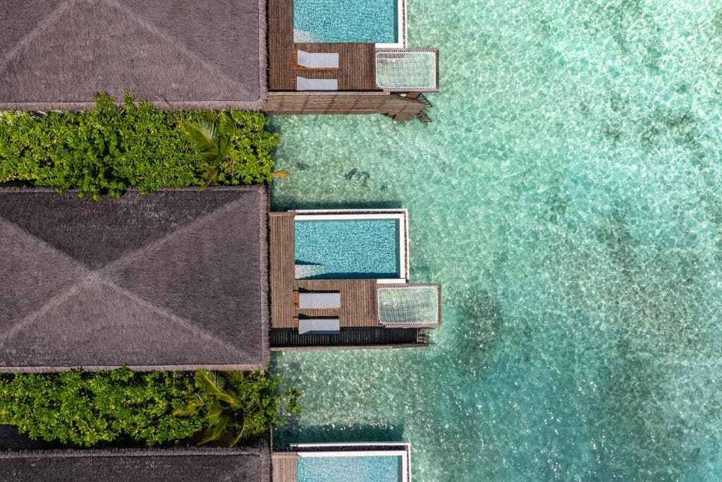 DUSITD2 FEYDHOO MALDIVES, Мальдивы