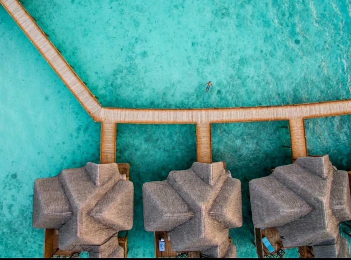 FIHALHOHI MALDIVES (EX. FIHALHOHI ISLAND RESORT) — фото 5